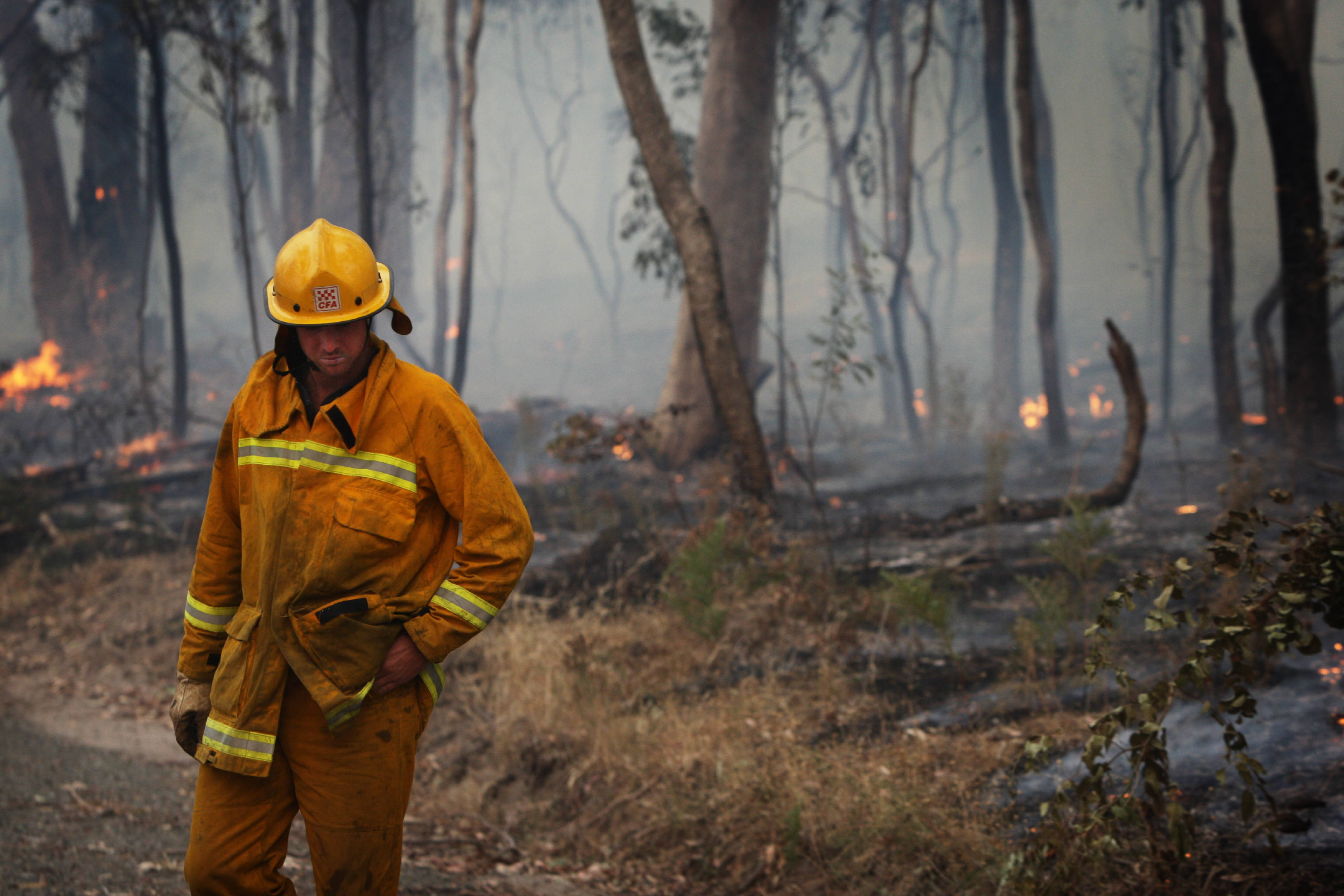 Faulty privatised power lines caused five of the worst Black Saturday bushfires